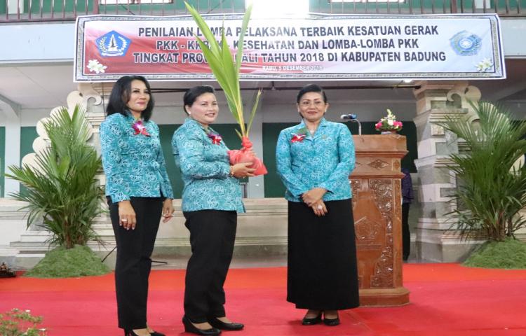 TP PKK Desa Dalung Wakili Kabupaten Badung  Dinilai Lomba Kesatuan Gerak PKK-KKBPK Kesehatan Tingkat Provinsi Bali
