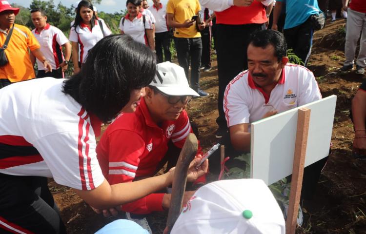Wabup Suiasa Tanam Bibit Kopi Arabika di Kawasan Agro Techno Park