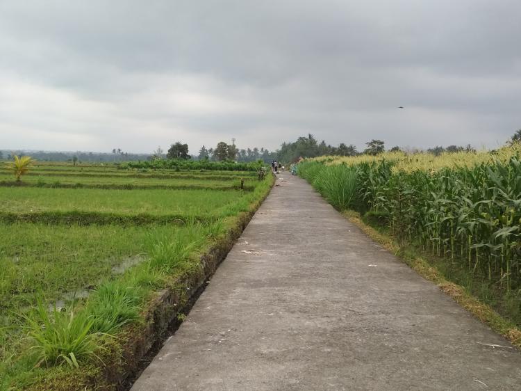 Bugarkan Tubuh Dengan Jogging di Jalan Citra