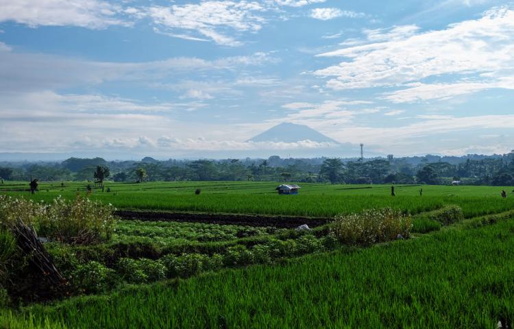 Dukung Pemda Badung Dalam Usaha Pariwisata Berkelanjutan, Desa Abiansemal Kembangkan Desa Wisata