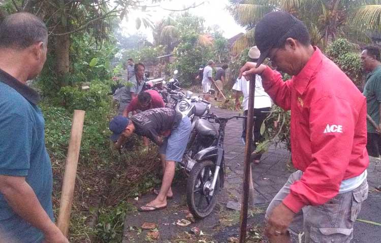 Krama Banjar Dirgahayu Mereresik