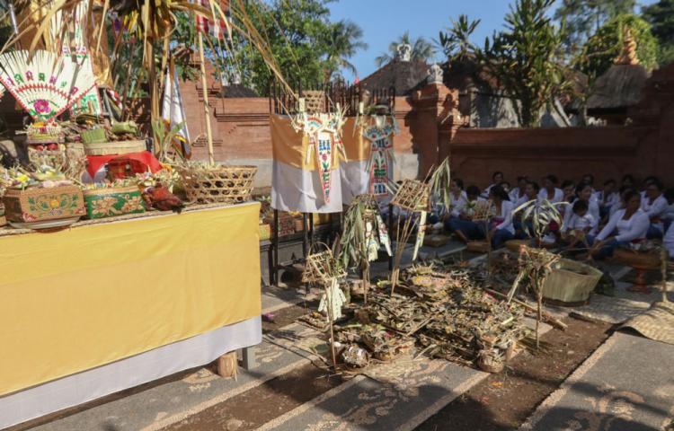Mecaru Bagian Dari Rentetan Upacara Pemlapasan Di Pura Pesiraman Dalem