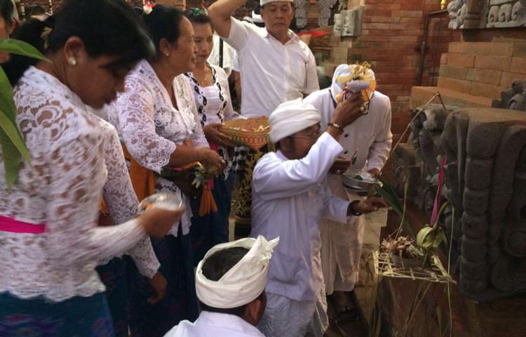 Melaspas Dan Mendem Pedagingan Pelinggih Pura Pesiraman Dalem Desa