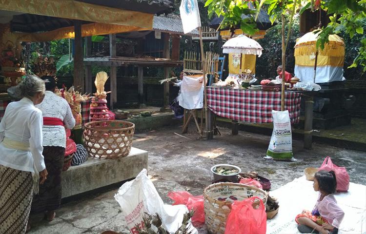 Memanjatkan Puji Syukur di Pura Dam Latu Sebagai Sumber Irigasi Persawahan Warga Abiansemal