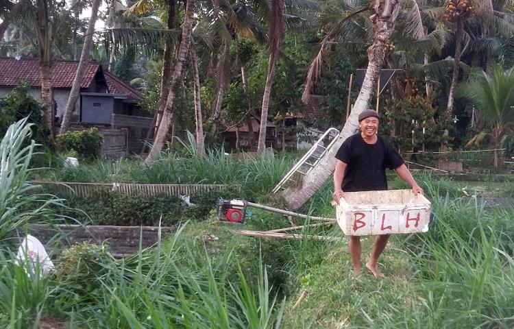 Pan Bradok, Meraup Rupiah Dengan Berternak Lele