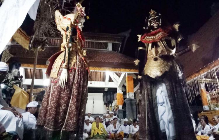 Pemijilan Ratu Barong Landung lakon Napak Pertiwi di Pura Ratu Begawan Penyarikan Br.Aseman, Abiansemal.