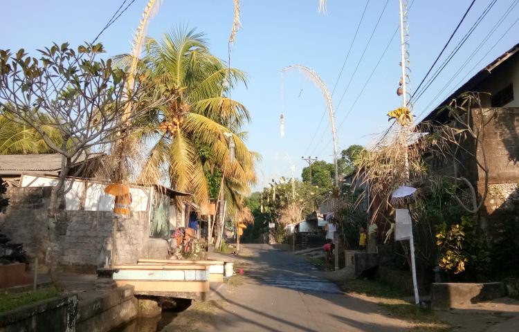 Penjor Putih Kuning Hiasi Rumah Warga