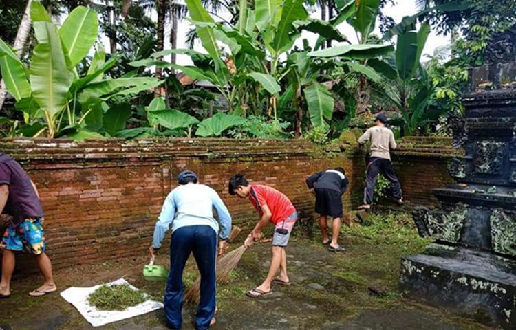 Semangat Tanpa Kendor, Sekaa Darma Kanti Sasar Pura Wilayah Banjar Juwet Abiansemal