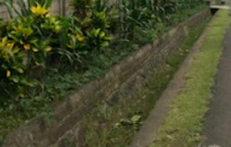 Telajakan Sebagai Kearipan Lokal di Bali