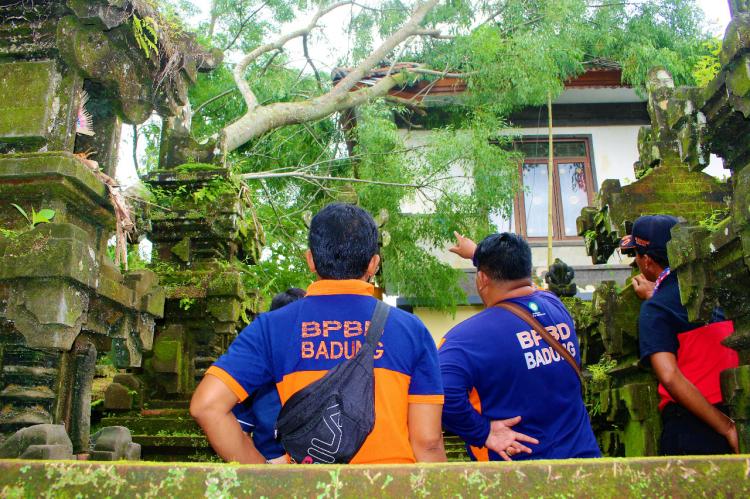 Akibat angin kencang, Kantor desa Belok Sidan tertimpa pohon tumbang.