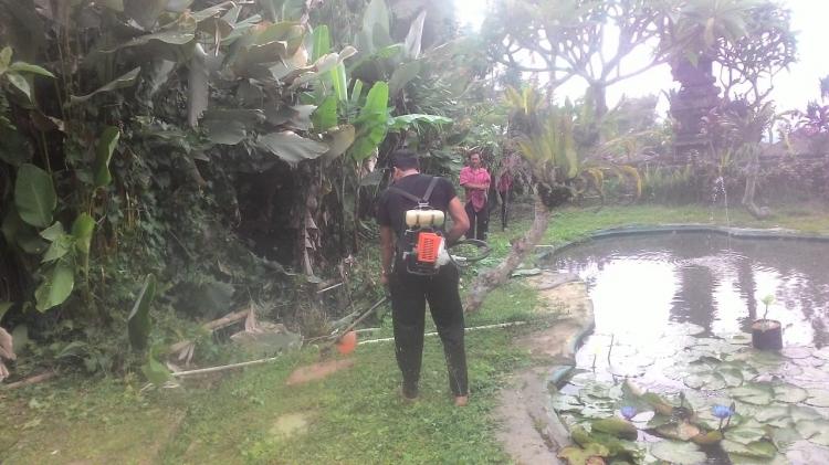 Kemajuan Teknologi Pertanian Dimanfaatkan St. Sekar sari.