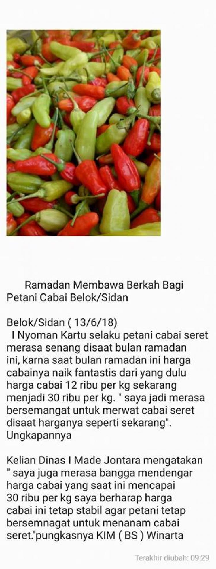 Petani Komuditi cabe Sreet Terseret merugi