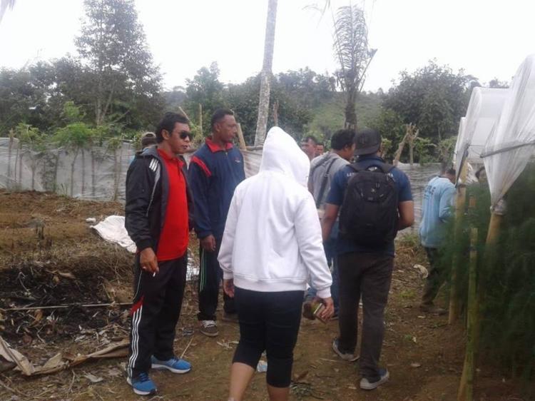 Kunjungan Bapak Perbekel Belok/Sidan di Kebun Asparagus Banjar Penikit