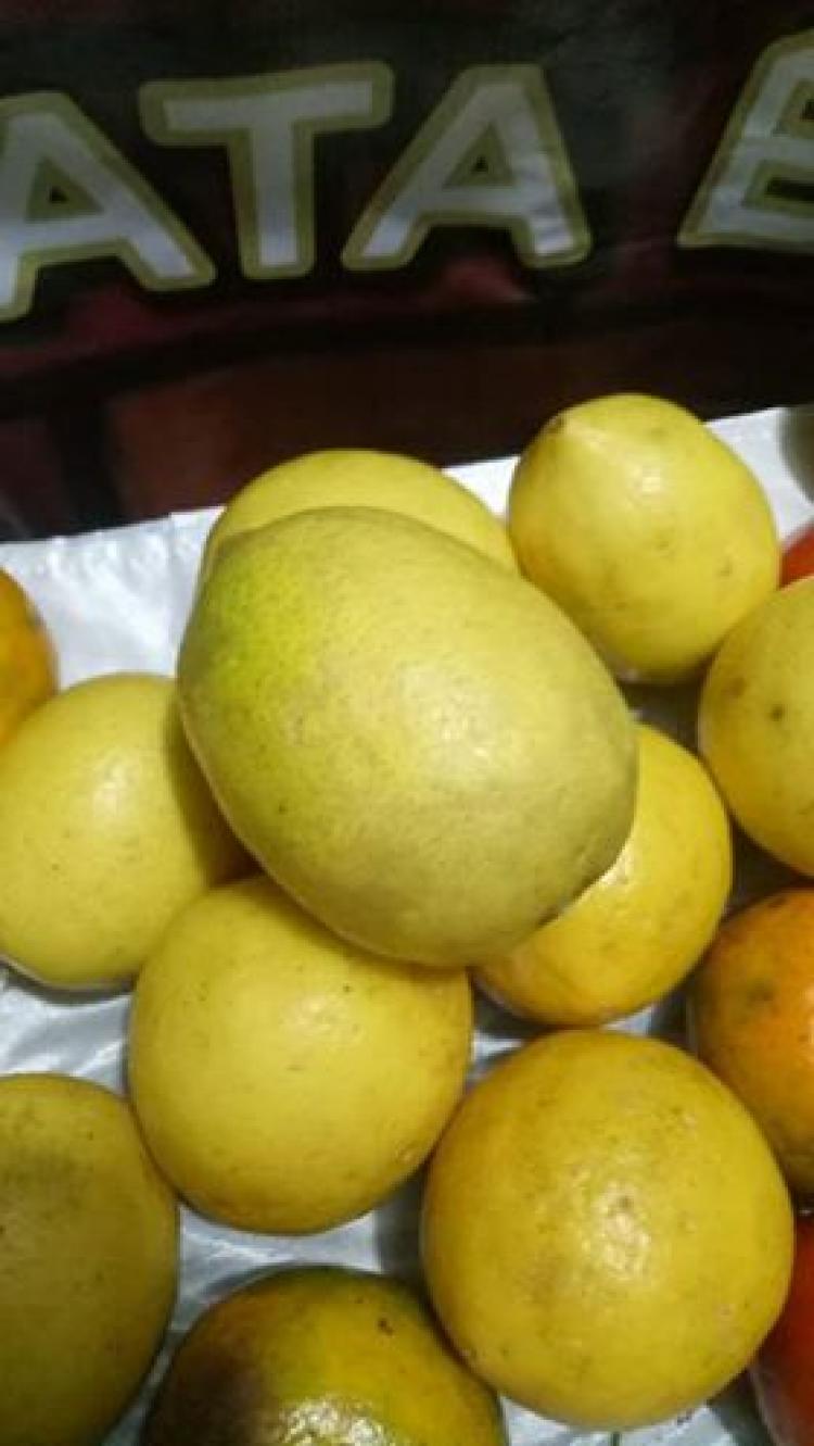 Lemon Tea Khas Banjar Lawak Banyak di Beli Pada Festifal budaya Pertanian 2018