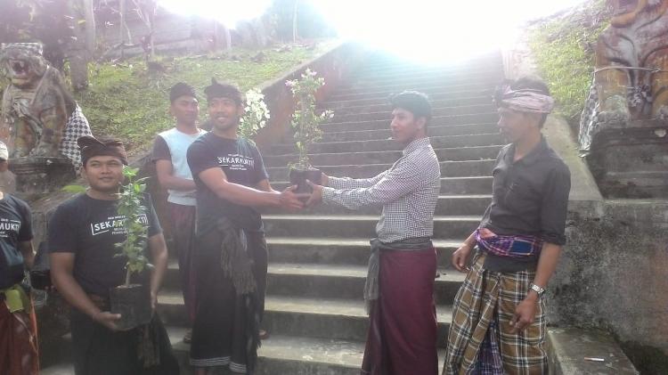 Pelestarian Pohon Bunga Di Area Pura puseh Banjar Sekarmukti Belok/Sidan