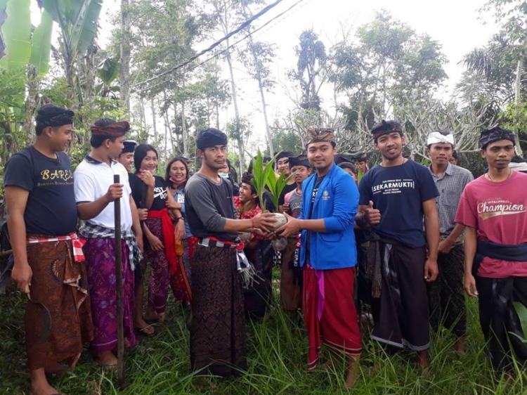 Pelestarian Pohon Kelapa di Banjar Sekarmukti Belok/Sidan