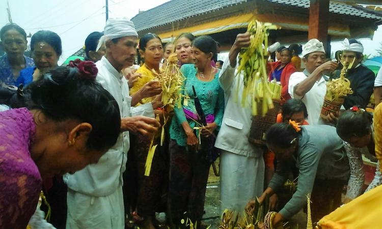 Pemangku Desa Adat sekarmukti "Diserbu" warga saat pembagian tirta.
