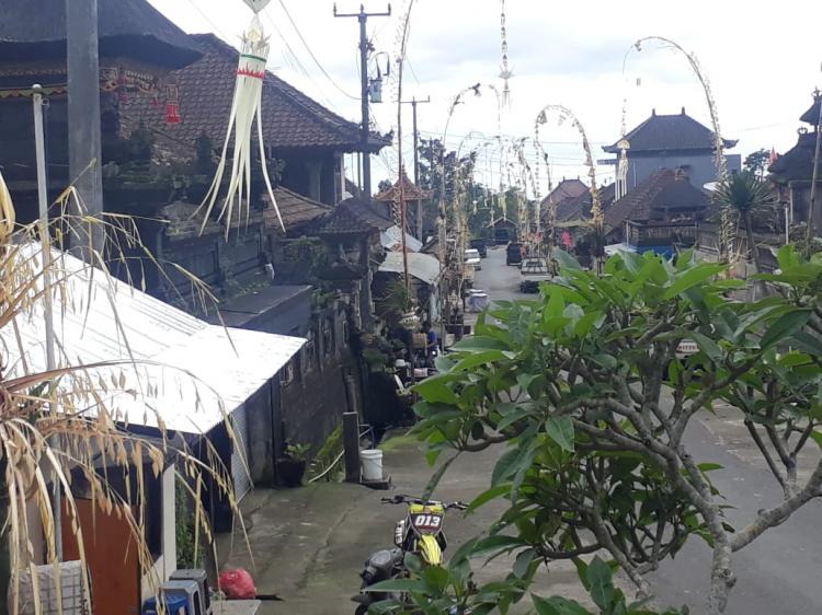 Penjor Menghiasi Banjar Sekarmukti Belok Sidan.