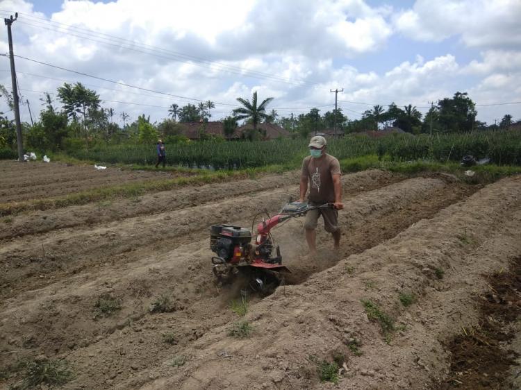 Petani Jaman Now sudah lihai menggunakan alat alat pertanian.