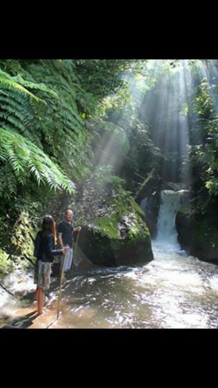 Tracking Titi Mamah andalan Bali Eco Village di Banjar Lawak.