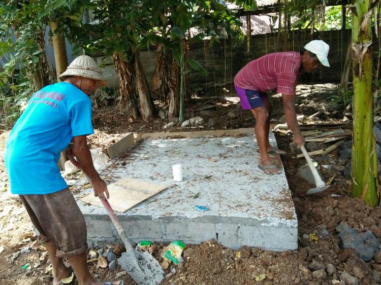 Atasi bau kotoran babi dengan membangun septic tank