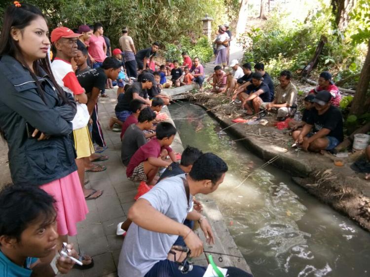 Dengan Tiga Master, kantongi uang Jutaan Rupiah