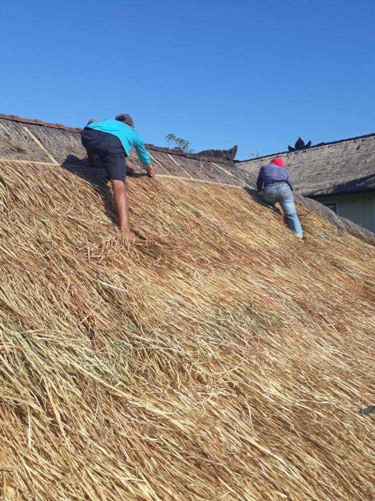 I Wayan Mulya,  "menyulap" alang-alang jadi gazebo