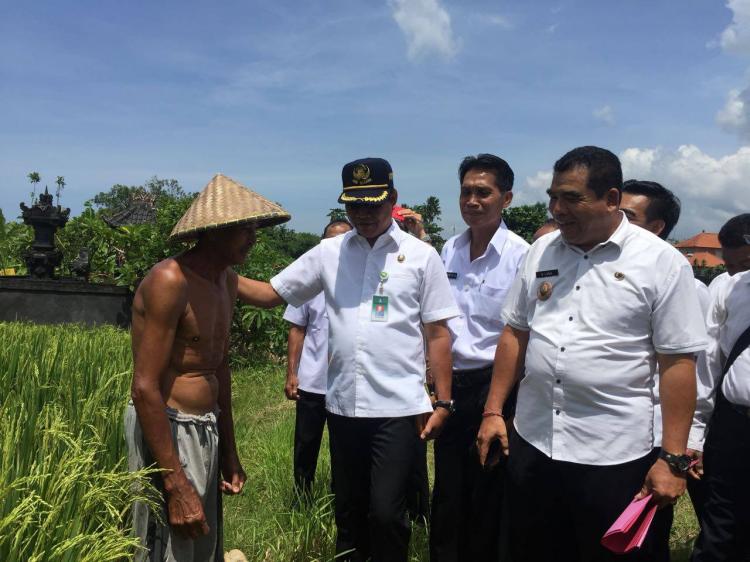 Kunjungan Bapak Wakil Bupati Badung di Awal Tahun 2018 ke Desa Canggu Meninjau Rencana Pembanguan Jalan penghubung Canggu -Pererenan