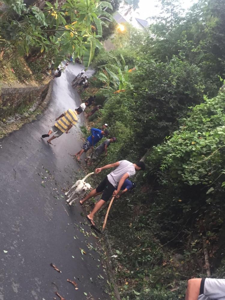 Lingkungan. Bersih,  generasi sehat