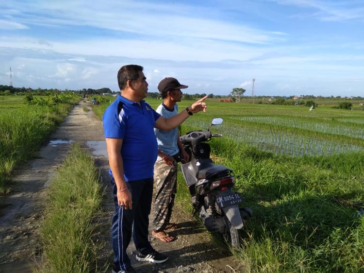 Perbekel Desa Canggu kunjungi petani subak umadesa