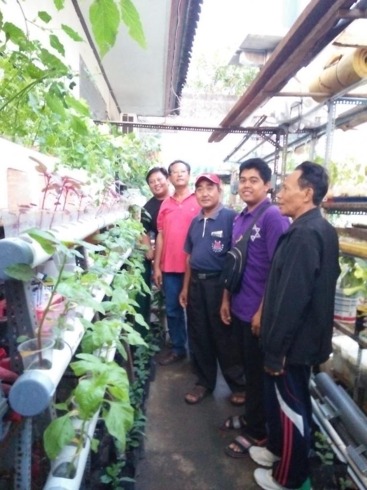 Revolusi berkebun dengan Hidroponik