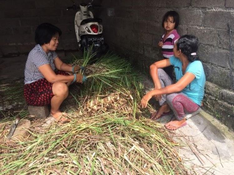 Cuaca Tidak Menyurutkan Semangat Para Petani Di Banjar Babakan Kawan, Desa Gulingan