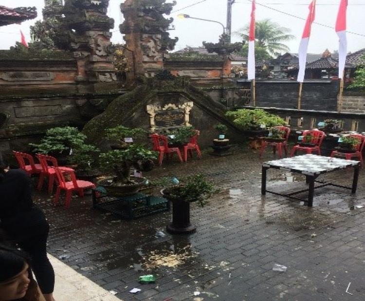 Gelar Lomba bonsai antar  masyarakat, penggemar bonsai antusias mengikuti