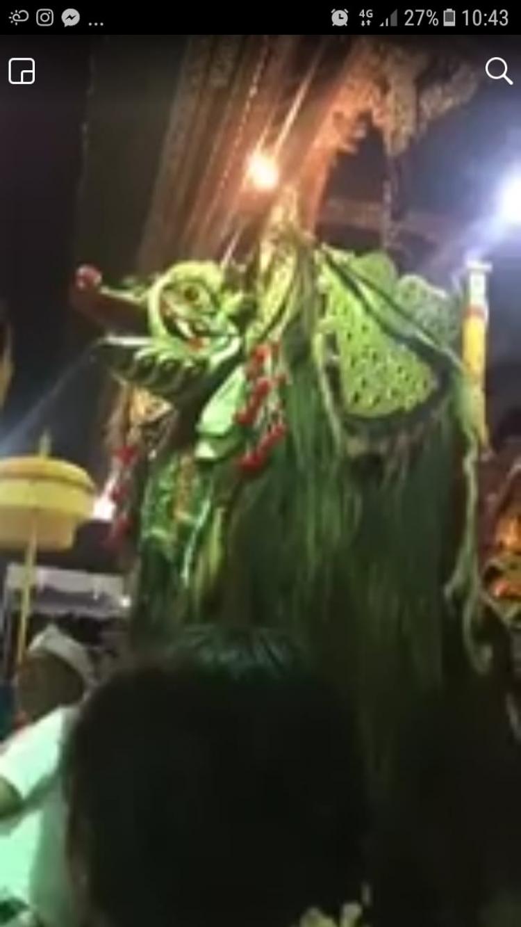 IDA RATU NGURAH AGUNG NAPAK PERTIWI