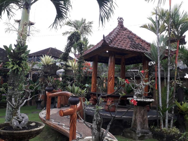 Kuliner Kubu Warung Makan Rasa Bintang Lima