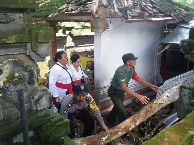 Pohon di Pura Taman Sari Danu Tan Upet Tumbang