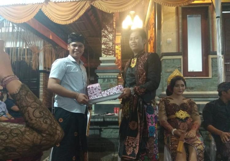 PELEPASAN ANGGOTA SEKAA TERUNA SATYA RAHARJA