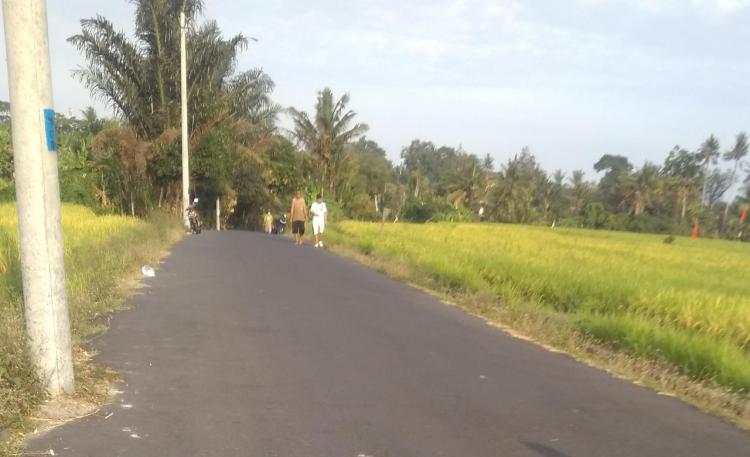 Jalan ke Pura Ujung Desa Mengwi asik buat walking dan joging track