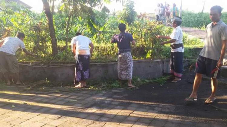 Nyangra Galungan, Krama Lanang Banjar Batu Bersihkan Pura dan Taman Beji