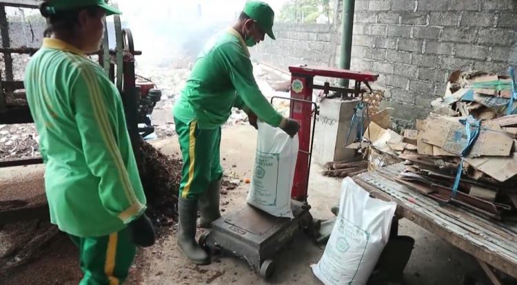 Rumput Halaman lebih hijau denganpupuk organik Yoga Mesari