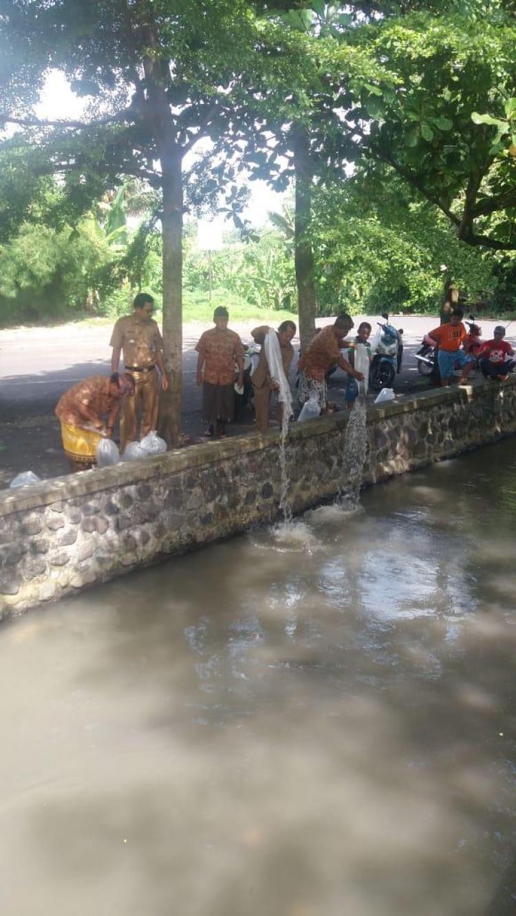 Tingkatkan Populasi Ikan, Perbekel Mengwi Tebar Benih