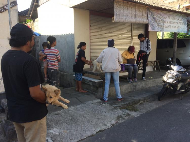Pencegahan Rabies di Banjar Gambang Munggu