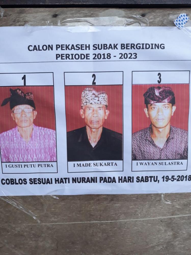 BERSAING !!! 3 CALON PEKASEH SUBAK BERGIDING DESA PANGSAN