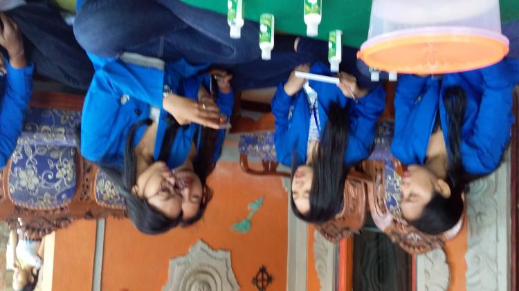 MAHASISWA KKN WARMADEWA OBSERVASI KELOMPOK VCO MEKAR SARI DESA PANGSAN