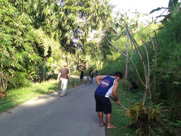 MEMPERCANTIK DESA PANGSAN, POKJADARWIS MULAI MENANAM MASKOT BADUNG