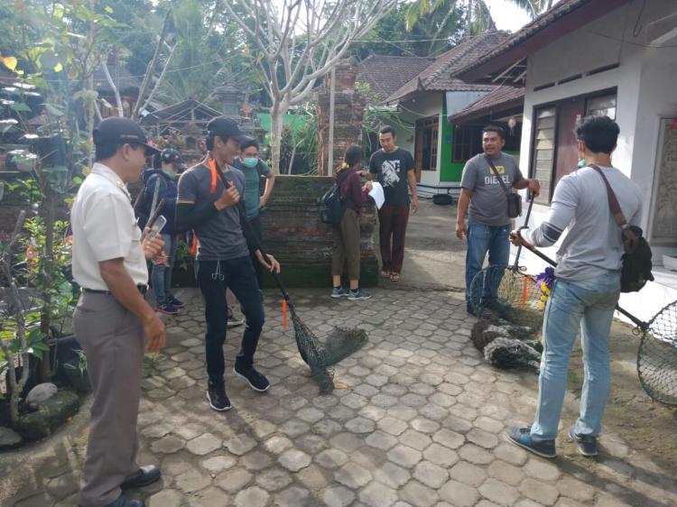 SAYANG ANJING PELIHARAAN WARGA BR. KASIANAN DESA PANGSAN ANTUSIAS IKUTI PEMBERIAN VAKSIN RABIES GRATIS