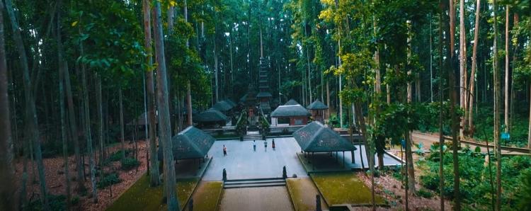 "Mitos" Pura Bukit Sari Sangeh Jejak Perjalanan Sakral Pohon Pala Dari Gunung Agung