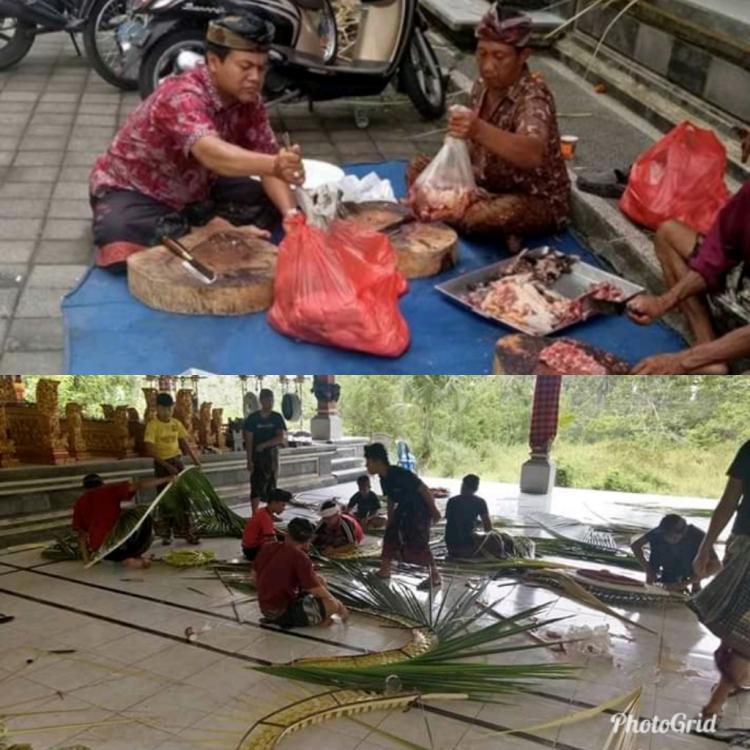 NGAYAH NYANGRA PIODALAN DI PURA TAMAN SARI, PERBEKEL HOBBY MEBAT