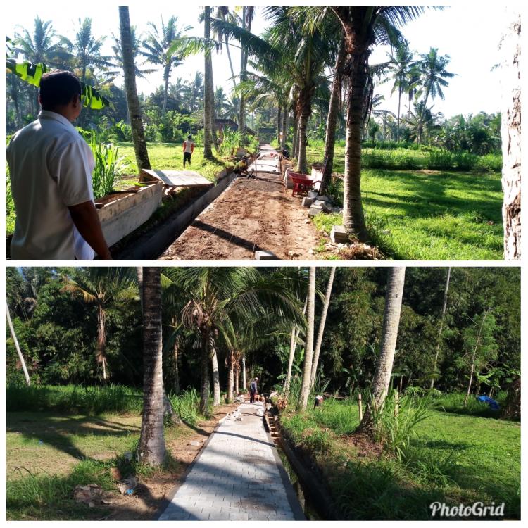 PEMBANGUNAN SENDERAN BETON DAN PEMASANGAN PAVING MUNDUK BABAKAN SANGEH