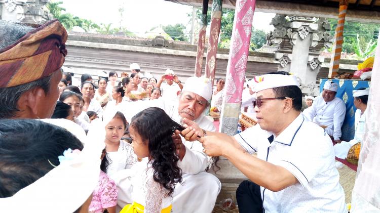 PERBEKEL DAN I.B SUNARTHA HADIRI HADIRI UPACARA NEBAS RAMBUT RING PURA DALEM DESA ADAT GERANA